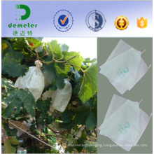 280X360mm White Glazed Apery Paper Micropoe Grape Growing Paper Bag Cheap Price Popular Used in Peru